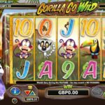 Нові ігри в Gorilla Casino: топові провайдери і гарячі релізи